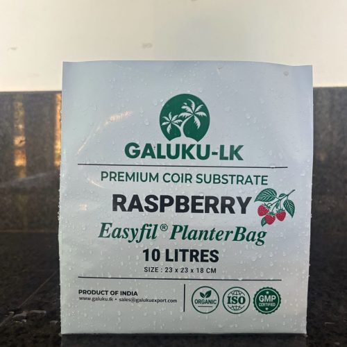 raspberry1 (3)