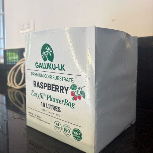raspberry1 (4)