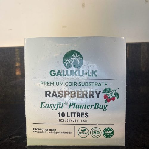 raspberry1 (5)