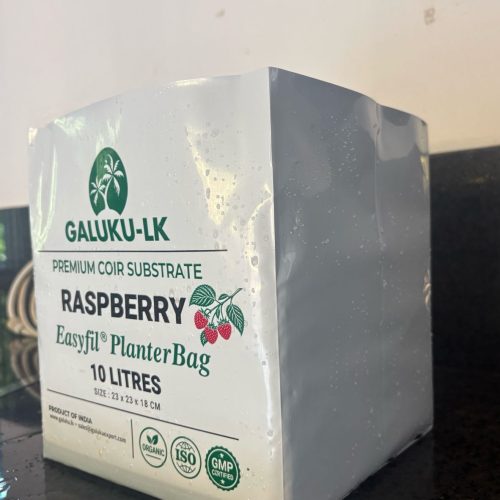 raspberry1 (9)